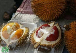 紅心榴蓮多少錢(qián)一斤？紅心榴蓮為什么這么貴？