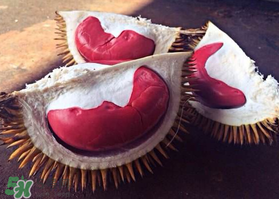 紅心榴蓮叫什么？紅心榴蓮是哪個國家產(chǎn)的？