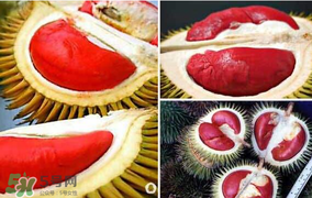 紅心榴蓮叫什么？紅心榴蓮是哪個國家產(chǎn)的？