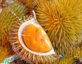 紅心榴蓮是轉(zhuǎn)基因的嗎？紅心榴蓮是不是轉(zhuǎn)基因？