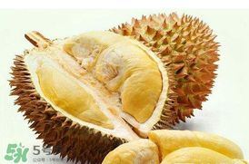 紅心榴蓮是轉(zhuǎn)基因的嗎？紅心榴蓮是不是轉(zhuǎn)基因？