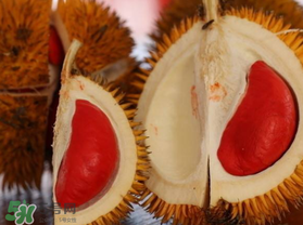 紅肉榴蓮是什么品種？紅色的榴蓮是什么品種？