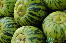 菜瓜到底是不是黃瓜？ 菜瓜和黃瓜的區(qū)別