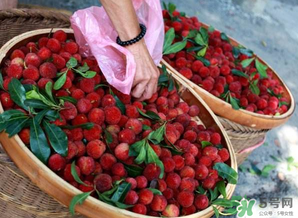 楊梅和西瓜能一起吃嗎？西瓜可以和楊梅一起吃嗎？