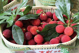 楊梅和西瓜能一起吃嗎？西瓜可以和楊梅一起吃嗎？