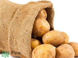 馬鈴薯有毒嗎？馬鈴薯生吃有毒嗎？