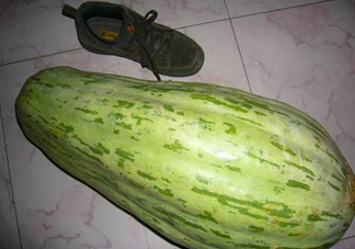 菜瓜怎么炒好吃？菜瓜怎么做好吃