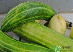 菜瓜到底是不是黃瓜？ 菜瓜和黃瓜的區(qū)別