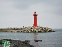 6月份去韓國穿什么？六月份去韓國穿衣搭配