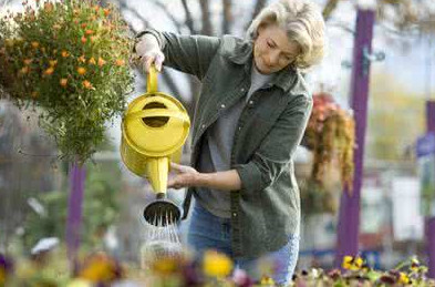 茶葉水可以澆花嗎？茶葉水能澆花嗎？