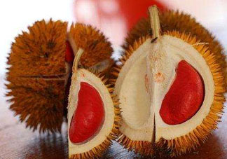 紅心榴蓮叫什么？紅心榴蓮是哪個(gè)國家產(chǎn)的？