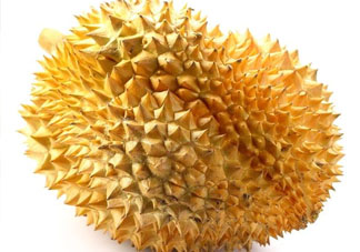 紅心榴蓮是轉基因的嗎？紅心榴蓮是不是轉基因？