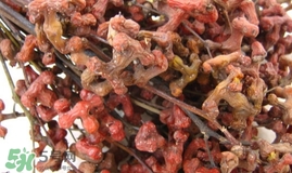 萬壽果多少錢一斤2017？萬壽果什么時候成熟