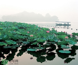 6月份去杭州穿什么？六月份去杭州穿衣搭配