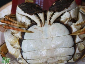 為什么說六月黃有公蟹沒有母蟹？怎樣區(qū)分螃蟹的公母