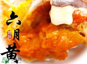六月黃是什么蟹？六月黃什么時(shí)候上市