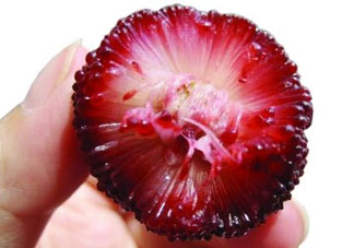 楊梅籽可以吃嗎？吃楊梅籽有什么好處？