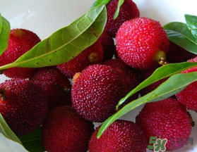 楊梅和榴蓮可以一起吃嗎？吃完楊梅可以和吃榴蓮嗎？