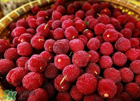 吃完楊梅不能吃什么？吃完楊梅可以吃別的水果嗎？