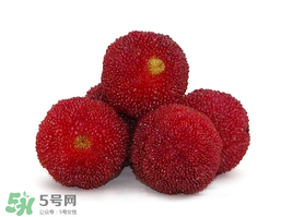 吃完楊梅不能吃什么？吃完楊梅可以吃別的水果嗎？