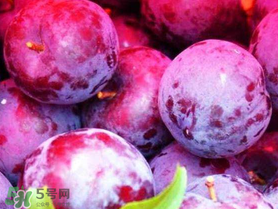 紅心李子孕婦可以吃嗎？紅心李子營(yíng)養(yǎng)價(jià)值