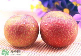 紅心李子孕婦可以吃嗎？紅心李子營(yíng)養(yǎng)價(jià)值