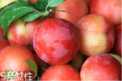 ?楊梅和李子能一起吃嗎？楊梅和李子一起吃會中毒嗎？