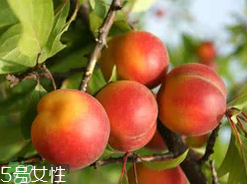 ?楊梅和李子能一起吃嗎？楊梅和李子一起吃會中毒嗎？