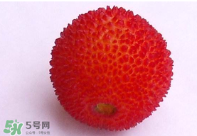 楊梅籽可以吃嗎？吃楊梅籽有什么好處？