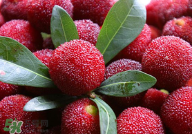 楊梅籽可以吃嗎？吃楊梅籽有什么好處？