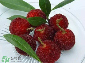 楊梅籽可以吃嗎？吃楊梅籽有什么好處？