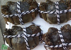 六月黃公蟹好還是母蟹好？六月黃公蟹里面的是黃嗎？