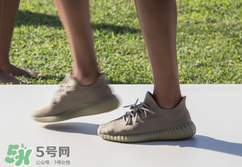 adidas yeezy 350 boost v2 dark green椰子350大地綠多少錢？