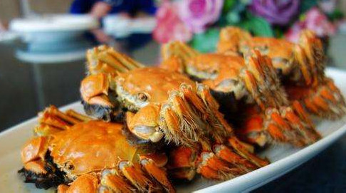 六月黃怎么保存？六月黃如何保存