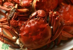 六月黃公蟹好還是母蟹好？六月黃公蟹里面的是黃嗎？