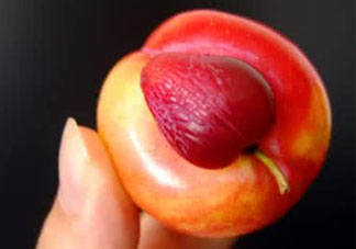 紅心李子孕婦可以吃嗎？紅心李子營養(yǎng)價值