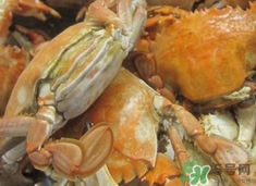 花蓋蟹死了能吃嗎？花蓋蟹死多久之內(nèi)能吃？