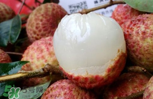 白糖罌荔枝怎樣保果的？白糖罌荔枝和白蠟的區(qū)別