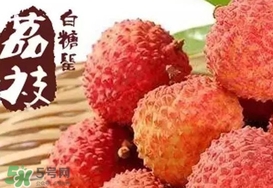 白糖罌荔枝多少錢一斤2017？白糖罌荔枝價(jià)格