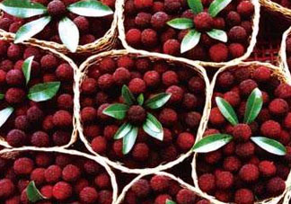 ?楊梅和李子能一起吃嗎？楊梅和李子一起吃會中毒嗎？