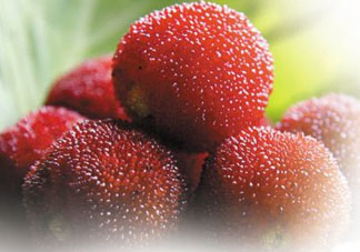 楊梅和黃瓜可以一起吃嗎？吃完楊梅可以吃黃瓜嗎？