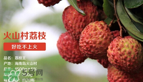 荔枝王是什么品種？荔枝王多少錢一斤2017？