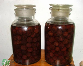 泡楊梅酒用什么瓶子？楊梅酒可以用塑料瓶泡嗎？