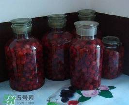 泡楊梅酒用什么瓶子？楊梅酒可以用塑料瓶泡嗎？