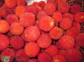 泡楊梅酒用多少度的酒？楊梅酒用多少度的白酒？