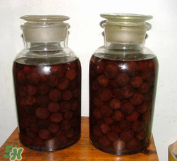 泡楊梅酒要放多少糖？泡楊梅酒放多少冰糖？