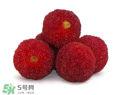 楊梅放冰箱能放幾天？楊梅可以放冰箱嗎？