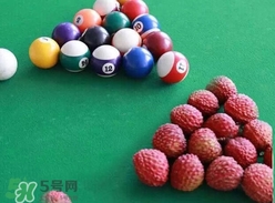 荔枝王的產(chǎn)地是哪里？荔枝王產(chǎn)地在哪兒