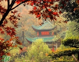 7月份去長(zhǎng)沙穿什么？七月份去長(zhǎng)沙穿什么衣服