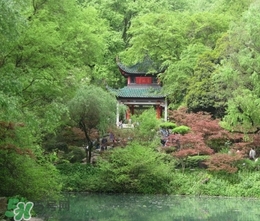 7月份去長(zhǎng)沙穿什么？七月份去長(zhǎng)沙穿什么衣服